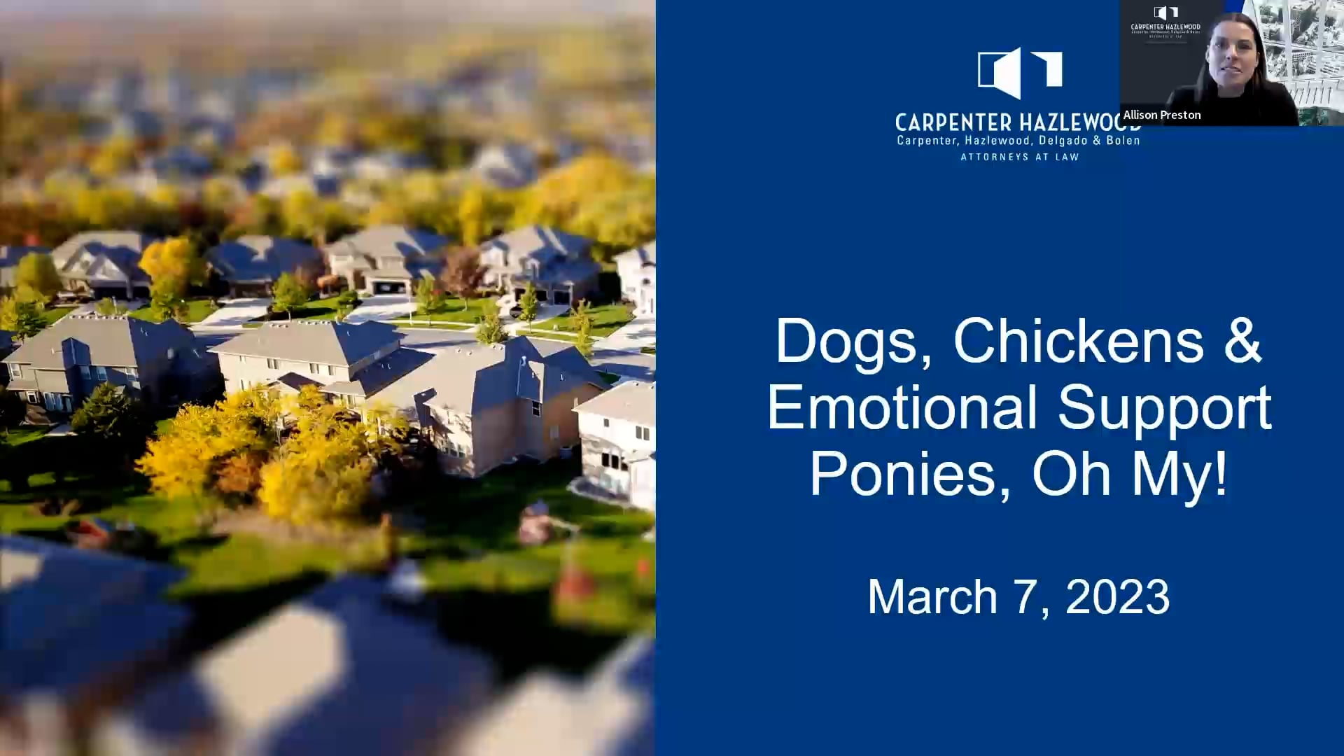 Dogs, Chickens & Emotional Support Ponies, Oh My!