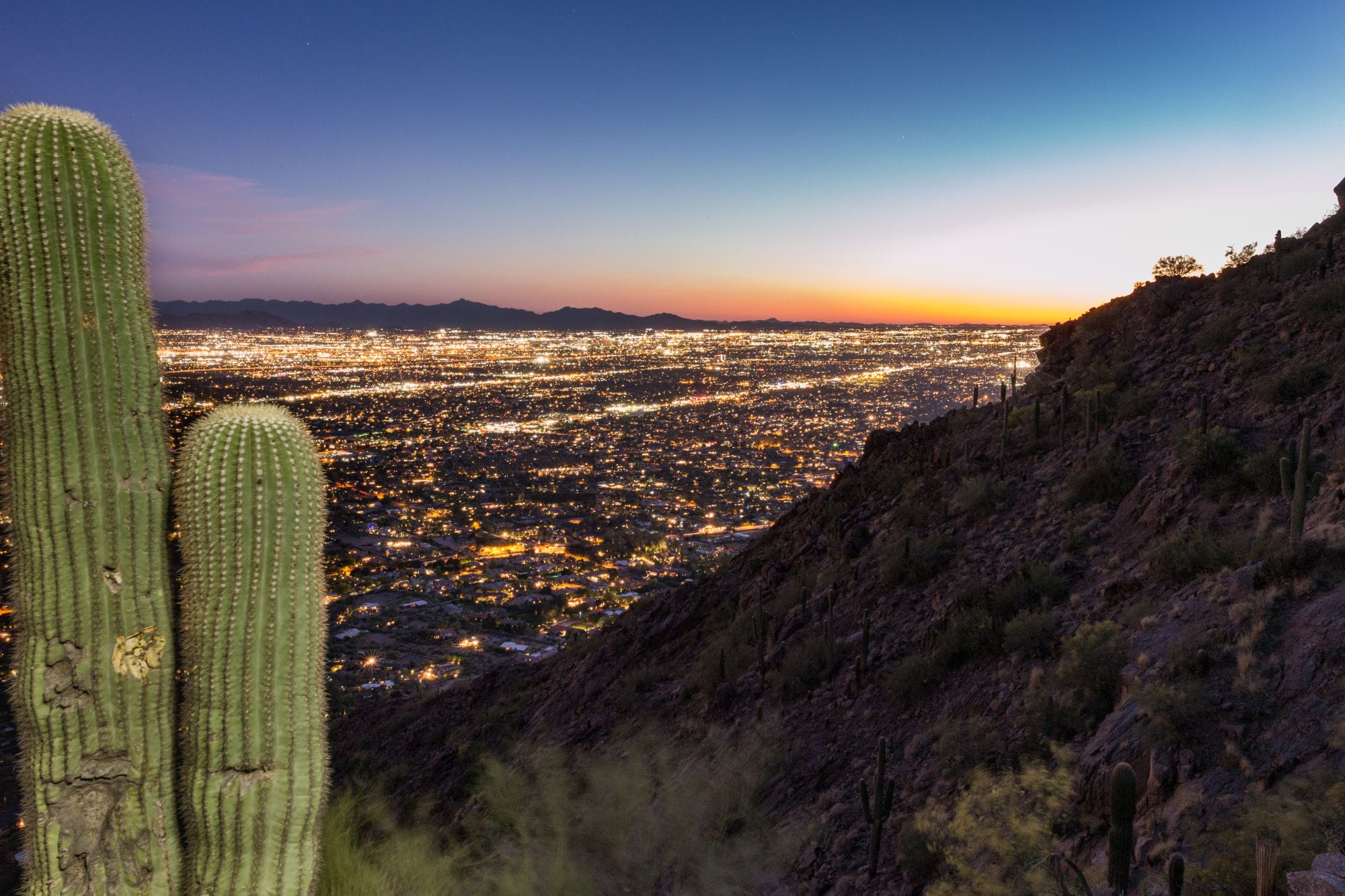 Looking down into an Arizona valley at sunset, a cactus in the foreground.