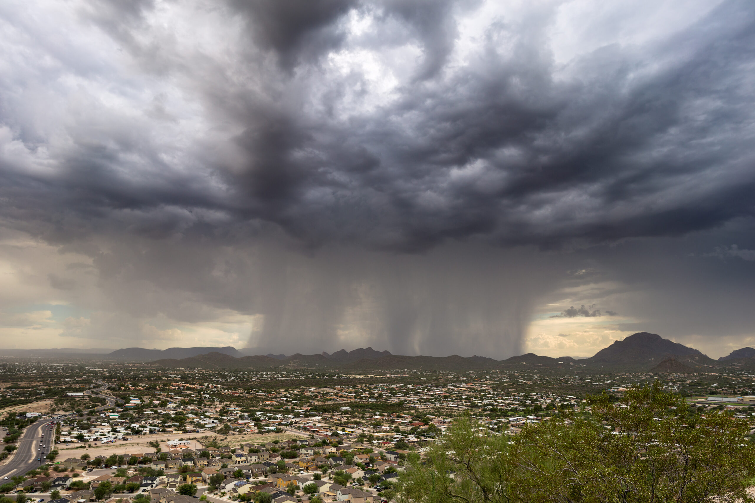 Monsoon